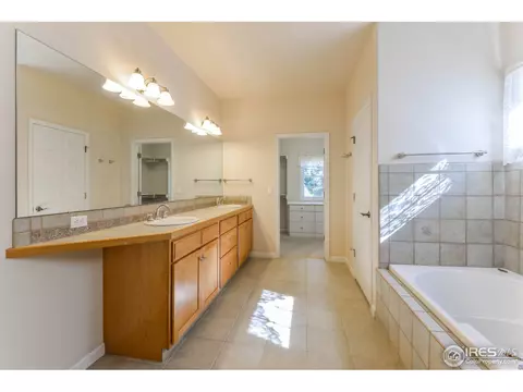 309 Habitat Cv, Windsor, CO 80550 photo 18
