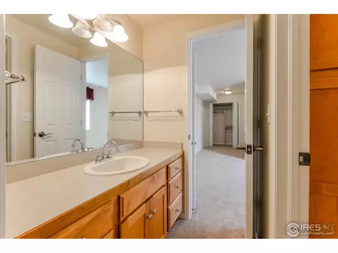 309 Habitat Cv, Windsor, CO 80550 photo 15
