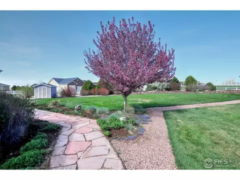 5013 Cortez Way, Severance, CO 80550 photo 24