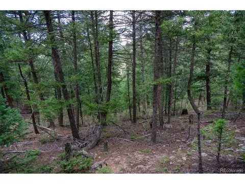 0, Evergreen, CO 80439 photo 2