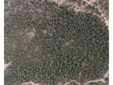 0, Evergreen, CO 80439 photo 4