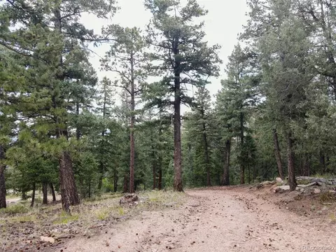 0, Evergreen, CO 80439 photo 5