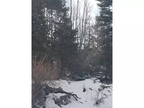 247 Mill Run, Hooper, CO 81136 photo 3