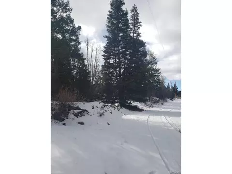 247 Mill Run, Hooper, CO 81136 photo 2