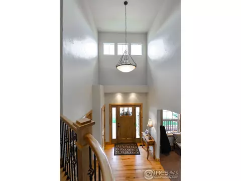 8409 Sand Dollar Dr, Windsor, CO 80528 photo 30