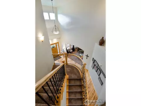 8409 Sand Dollar Dr, Windsor, CO 80528 photo 8