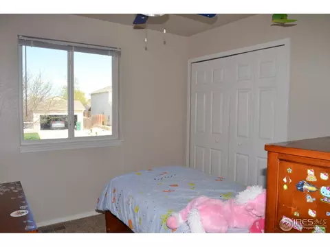 3020 Canvasback Ct, Evans, CO 80620 photo 10