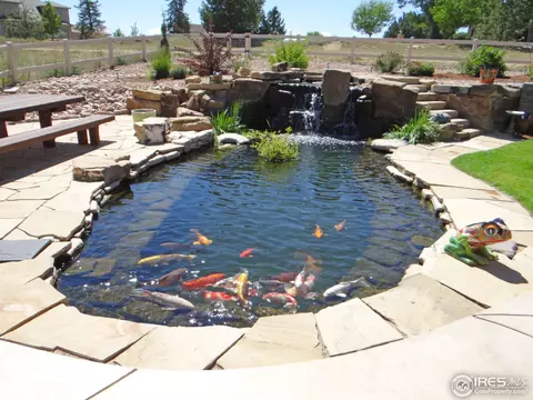 505 Sage Ave, Greeley, CO 80634 photo 40