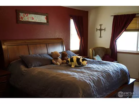 10550 Echo Ct, Firestone, CO 80504 photo 10