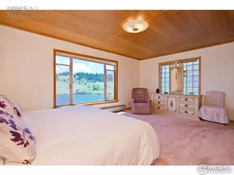 96 Eiger Rd, Livermore, CO 80536 photo 16