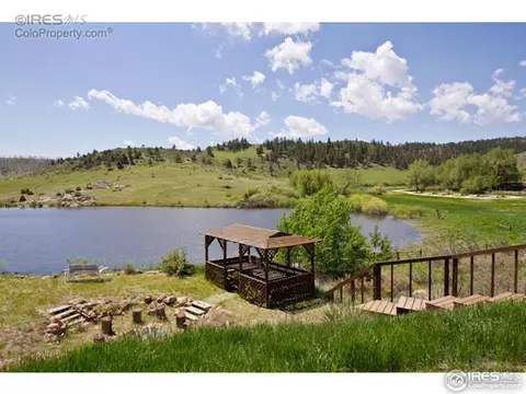 96 Eiger Rd, Livermore, CO 80536 photo 21