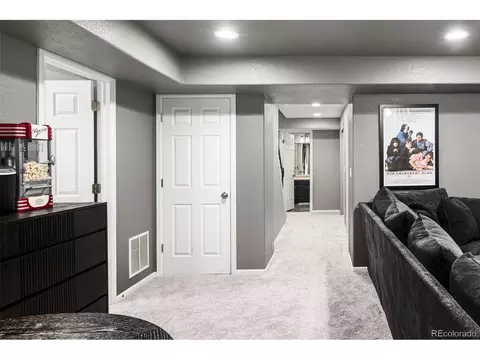 4866 E 116th Pl, Thornton, CO 80233 photo 27