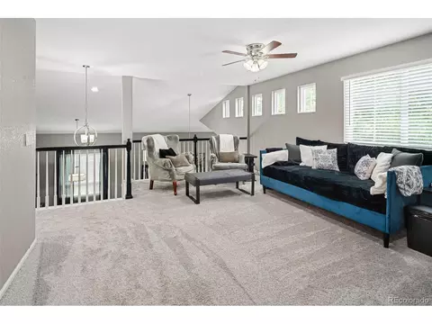 4866 E 116th Pl, Thornton, CO 80233 photo 16