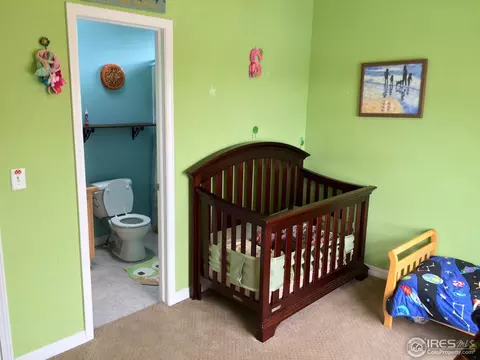 527 2nd Ave #6, Lyons, CO 80540 photo 18