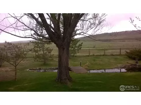 5512 Beverly Dr, Berthoud, CO 80513 photo 29
