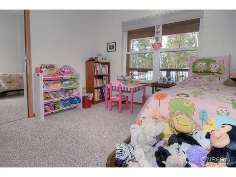 50 Wolf Rd, Black Hawk, CO 80422 photo 15
