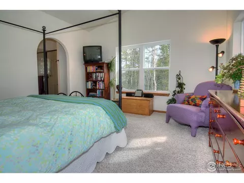 50 Wolf Rd, Black Hawk, CO 80422 photo 12
