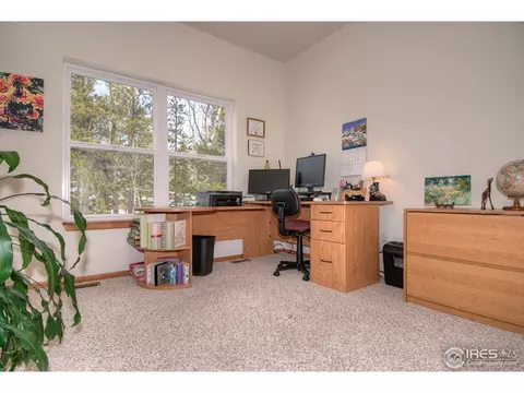 50 Wolf Rd, Black Hawk, CO 80422 photo 16