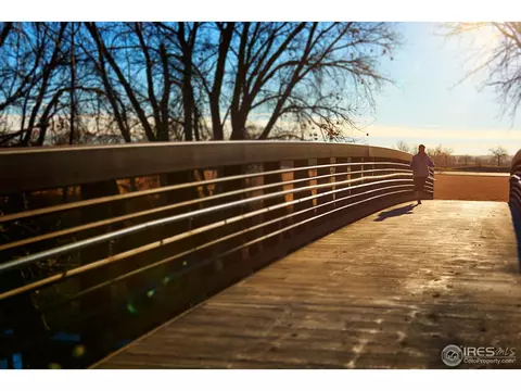 396 Baja Dr, Windsor, CO 80550 photo 11