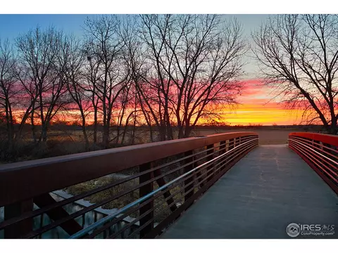 396 Baja Dr, Windsor, CO 80550 photo 15