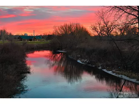 396 Baja Dr, Windsor, CO 80550 photo 14