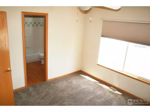 1002 Timberline Ct, Windsor, CO 80550 photo 15