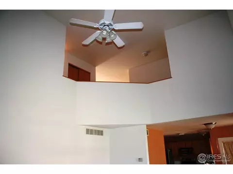 1002 Timberline Ct, Windsor, CO 80550 photo 10