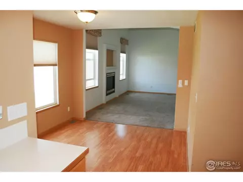 1002 Timberline Ct, Windsor, CO 80550 photo 8