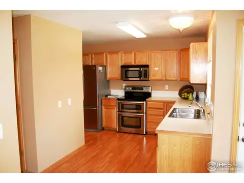 1002 Timberline Ct, Windsor, CO 80550 photo 7