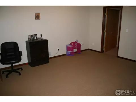 1002 Timberline Ct, Windsor, CO 80550 photo 16
