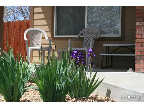 1002 Timberline Ct, Windsor, CO 80550 photo 23