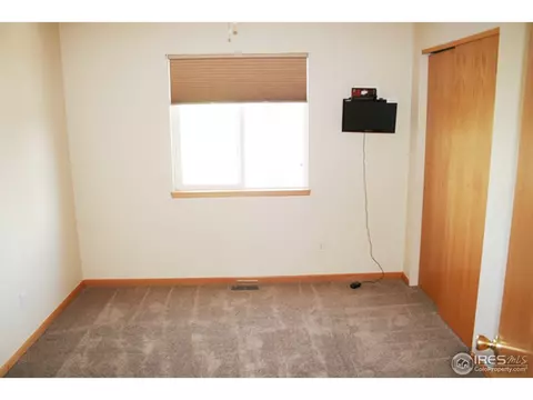 1002 Timberline Ct, Windsor, CO 80550 photo 13