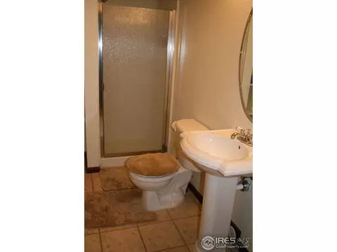 1002 Timberline Ct, Windsor, CO 80550 photo 17