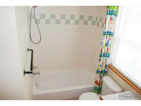 1002 Timberline Ct, Windsor, CO 80550 photo 14