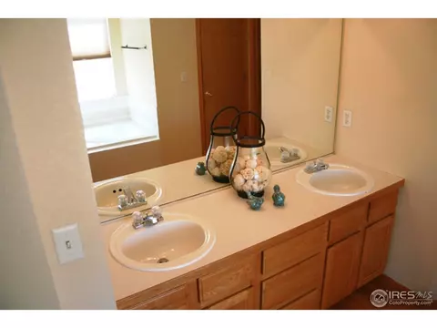 1002 Timberline Ct, Windsor, CO 80550 photo 12