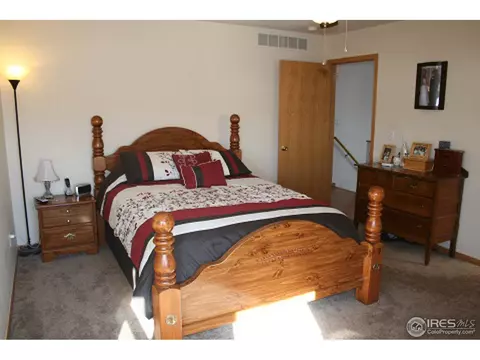 1002 Timberline Ct, Windsor, CO 80550 photo 11