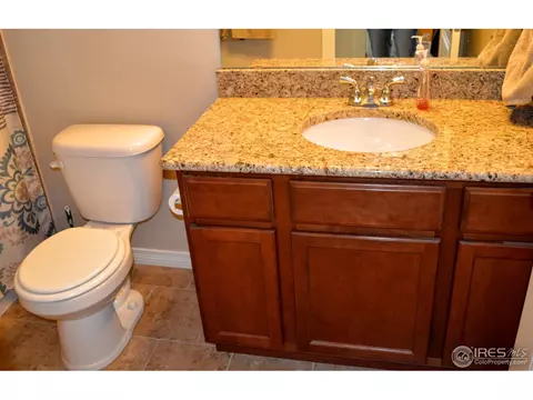 431 Wind River Dr, Windsor, CO 80550 photo 11