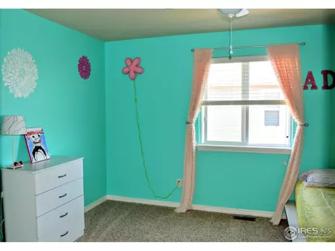 431 Wind River Dr, Windsor, CO 80550 photo 13