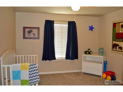 431 Wind River Dr, Windsor, CO 80550 photo 10
