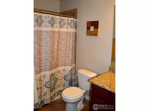 431 Wind River Dr, Windsor, CO 80550 photo 12