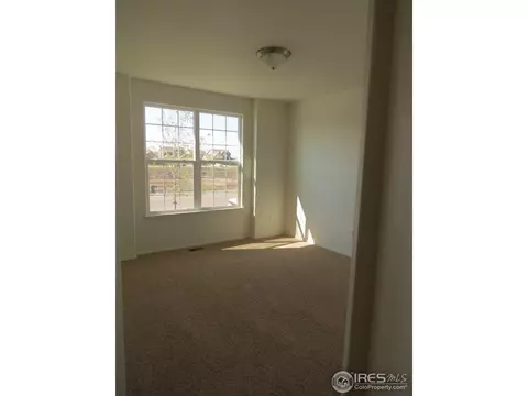 457 Kendalbrook Dr, Windsor, CO 80550 photo 18