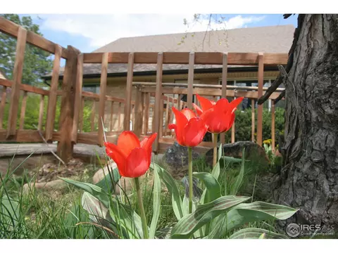 4580 Martin Dr, Boulder, CO 80305 photo 3
