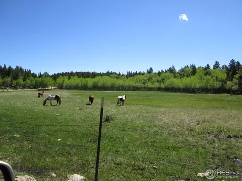 189 Hard Way Rd, Ward, CO 80481 photo 24