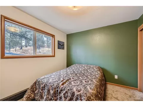 16 Blueberry Trl, Bailey, CO 80421 photo 11