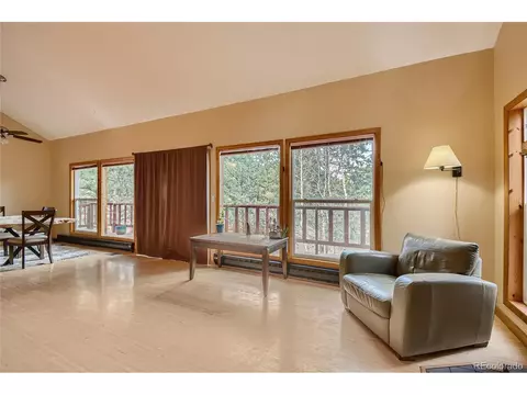 16 Blueberry Trl, Bailey, CO 80421 photo 5