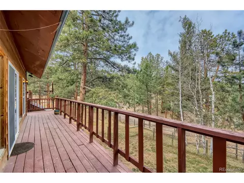 16 Blueberry Trl, Bailey, CO 80421 photo 21