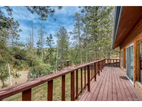 16 Blueberry Trl, Bailey, CO 80421 photo 20