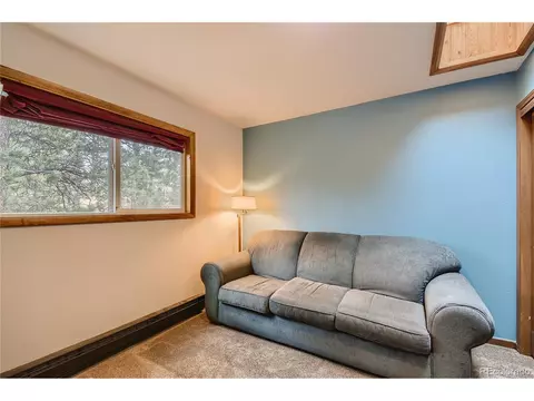 16 Blueberry Trl, Bailey, CO 80421 photo 16