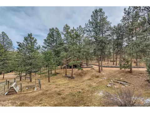 16 Blueberry Trl, Bailey, CO 80421 photo 26