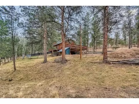 16 Blueberry Trl, Bailey, CO 80421 photo 2